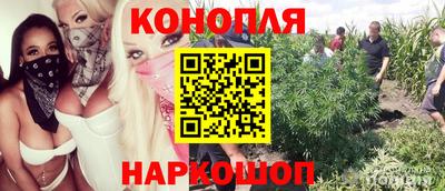 гидропоника Татарск