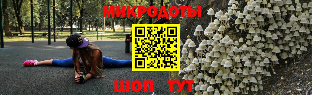 Галлюциногенные грибы мицелий Норильск